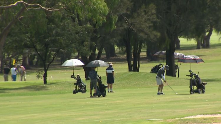 Sydney turf wars erupt as MP claims government is considering turning golf course into cemetery