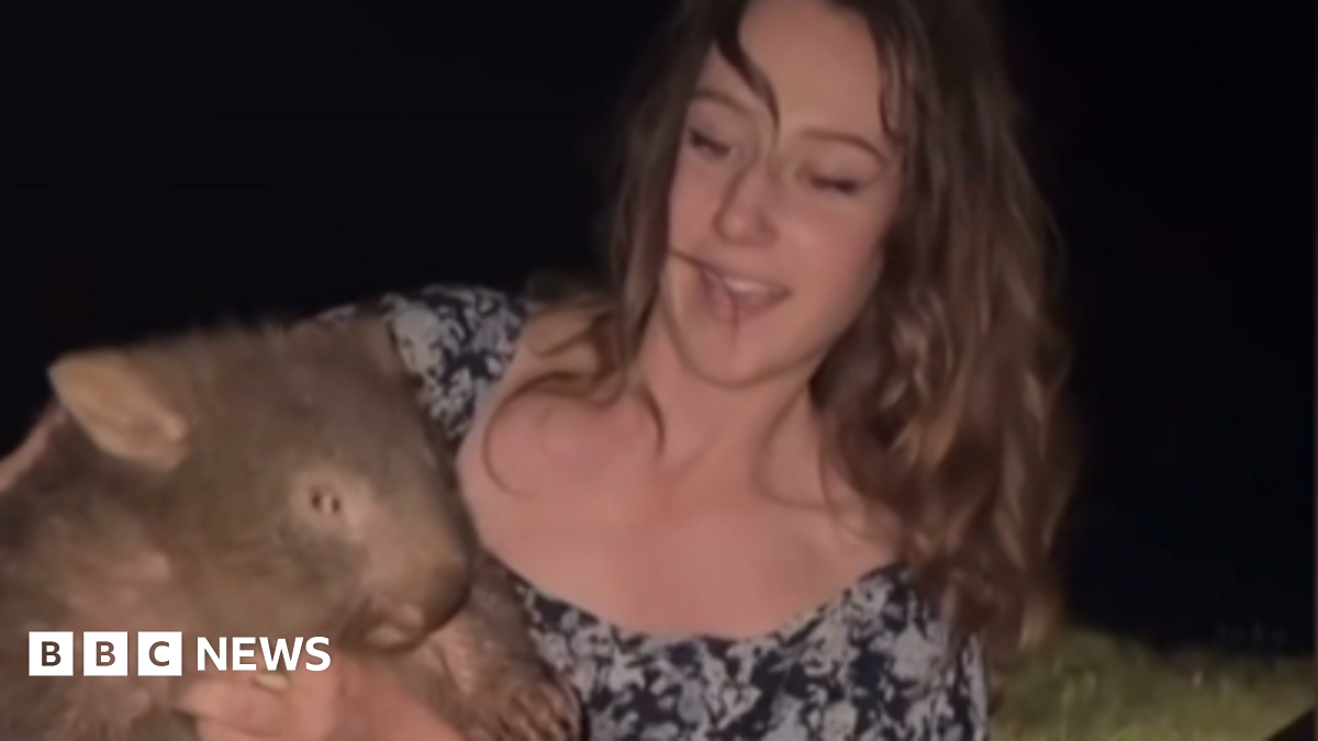 Sam Jones: US influencer who snatched baby wombat has left Australia