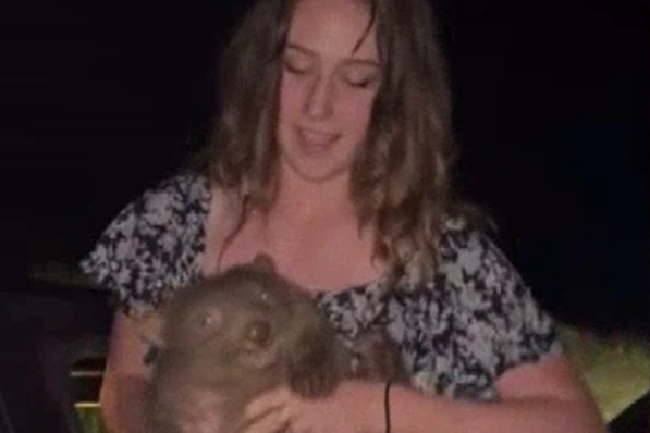 US influencer apologises for snatching baby wombat away from its mother