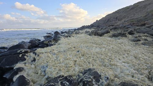 More than 100 surfers reportedly infected as yellow foam washes up on beaches