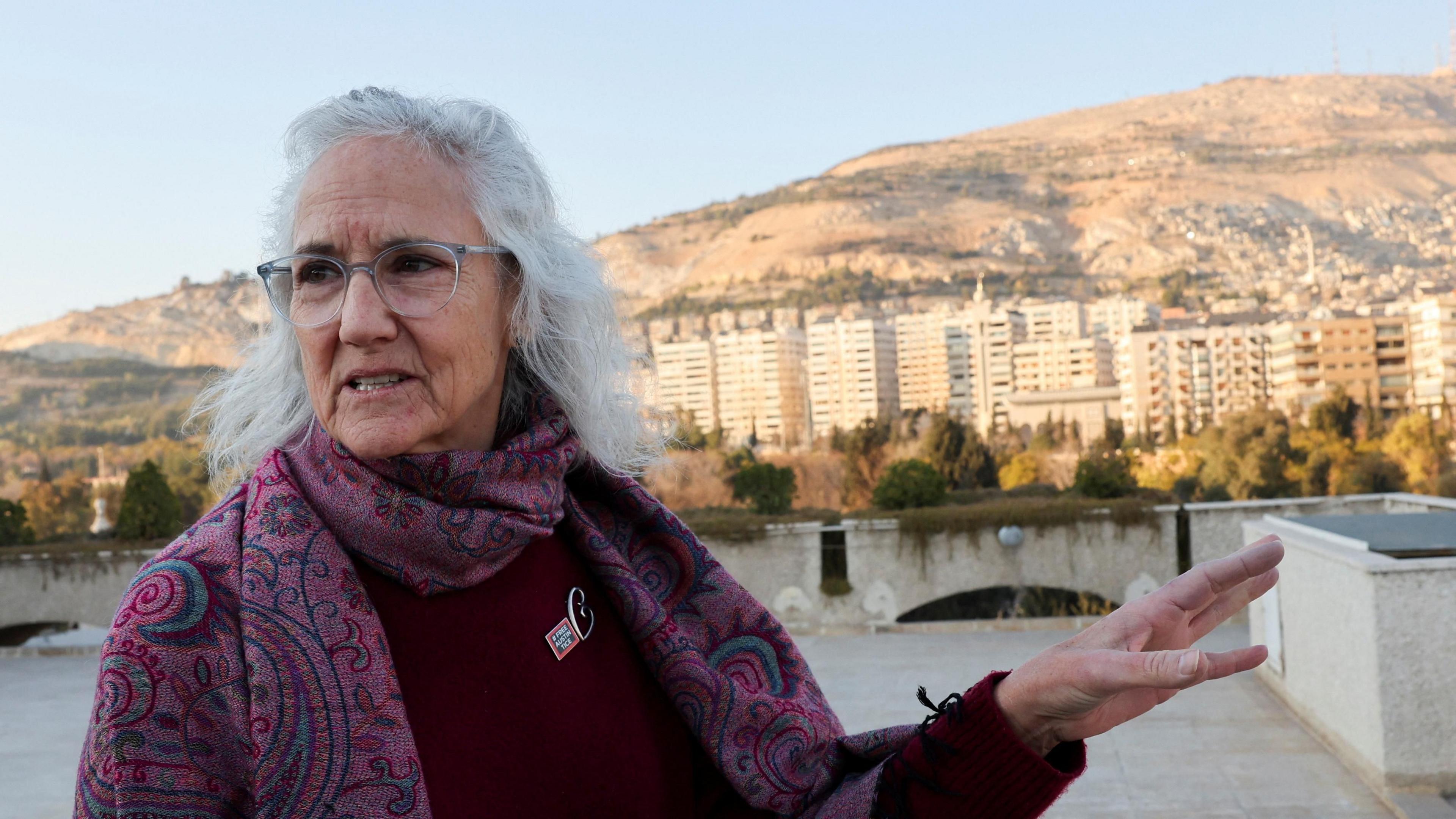 Austin Tice: Missing US journalist's mother renews Syria search