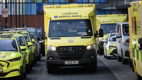 Five treated after stabbing in south London, one man arrested