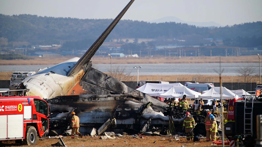 South Korean plane crash report says bird remains were found in engines