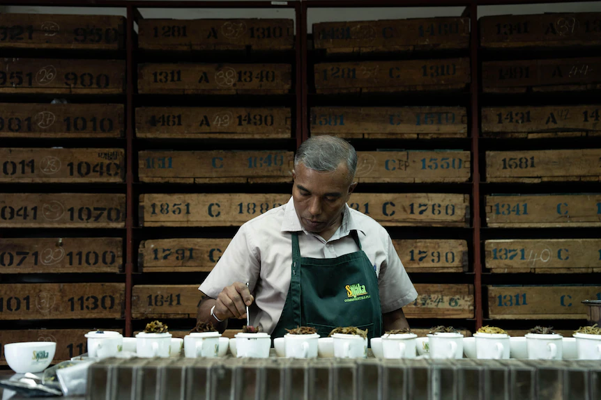 Workers on Sri Lanka's estates reveal the bitter truth behind ethical labels on tea packets