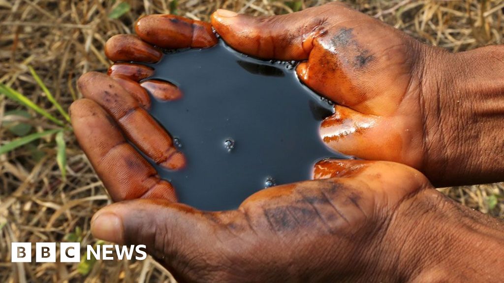 Oil clean-up 'scam' warnings ignored by Shell, whistle-blower tells BBC