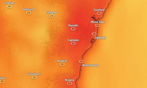 'Silent killer': Sydney sizzles under severe heatwave as paramedics issue warning