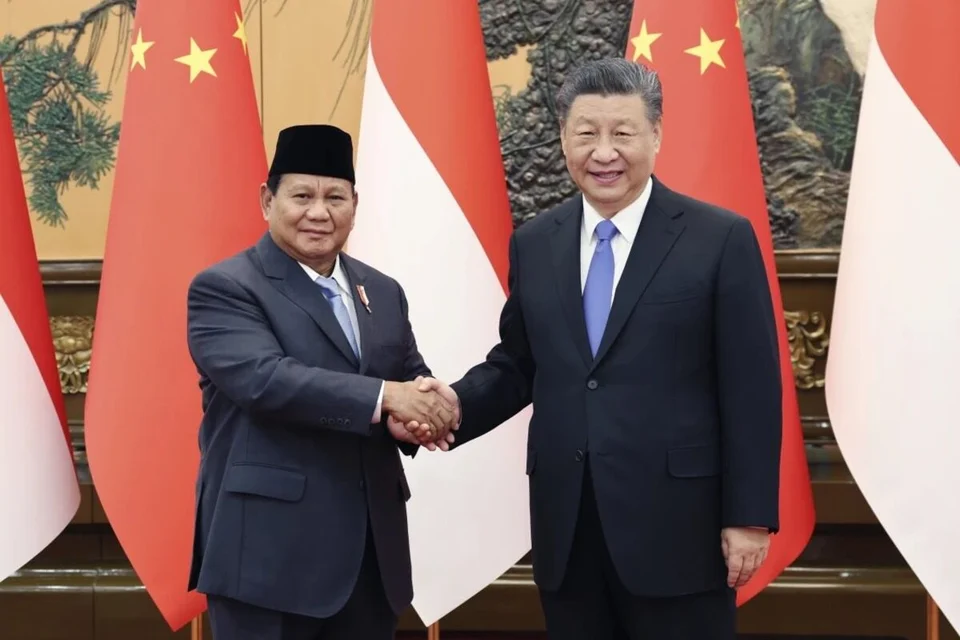 BRICS officially welcomes Indonesia as new member