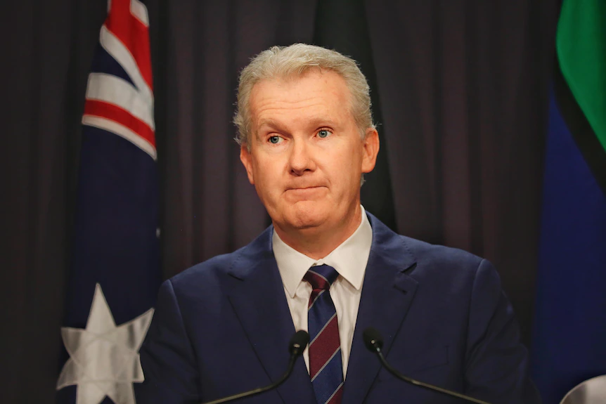 Minister for Arts Tony Burke says he was 'not briefed' on Australia's Venice Biennale controversy