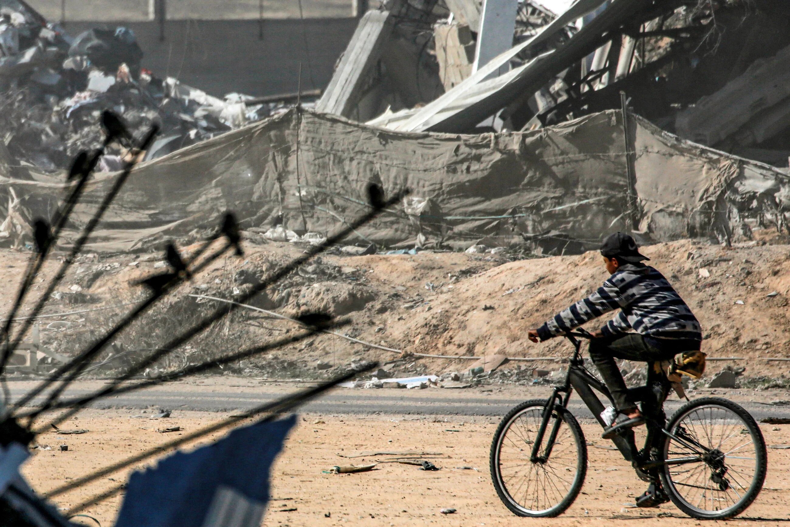 Death toll in Gaza rises as ceasefire allows rescuers to search rubble