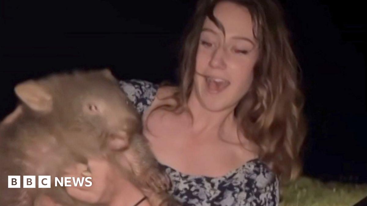 Sam Jones: 'For holding a baby wombat, thousands threatened my life'