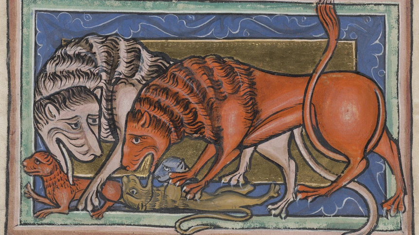 Why medieval animal art has gone viral on social media